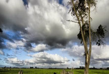 海星赛事-罗马训练开放日，今夜防线松动引欢呼，欧篮联在即，轮换策略成焦点的简单介绍