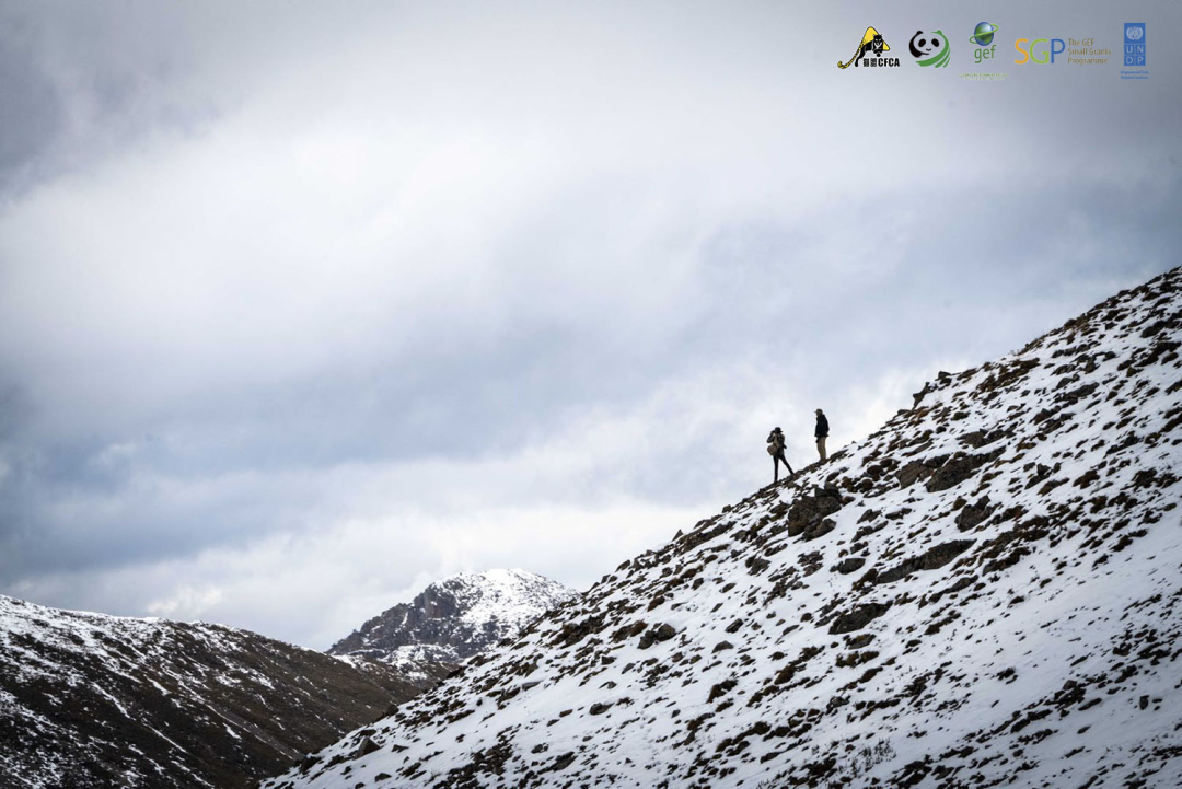 青藏铁路雪域鏖战心得体会 青藏铁路雪域鏖战心得体会
