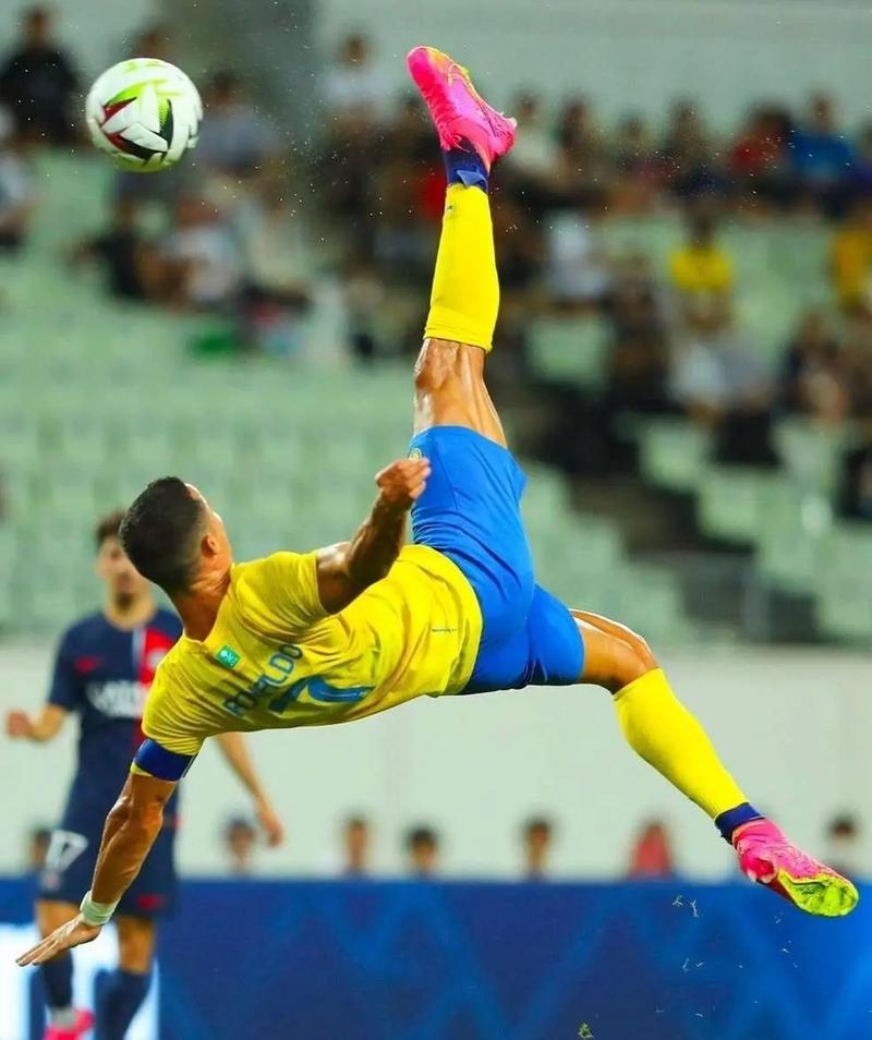  勃勃生机万物竞发台词 