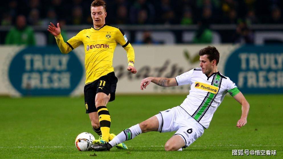  社区盾倒计时，费耶诺德今晚强势反弹，细节引发关注，媒体盛赞，医务组通报恢复